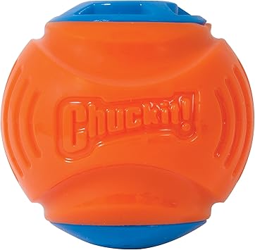 fish bettas can live with