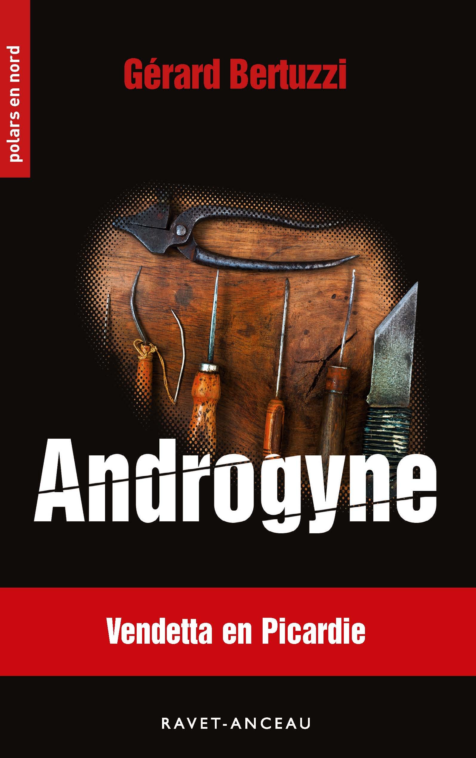 couverture de : Androgyne