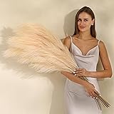Wertuirk Champagne Faux Pampas Grass - 45-Inch Set