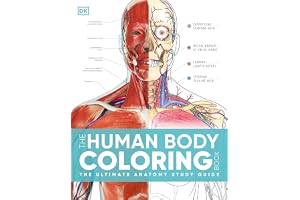 The Human Body Coloring Book: The Ultimate Anatomy Study Guide, Second Edition (DK Human Body Guides)