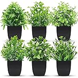 Der Rose 6 Pack Fake Plants Mini Artificial Plants