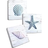 Tide and Tales 3D Beach Wall Art - Seashell with Starfish for Coastal Bathroom Decor, Ocean Inspired Decor for Bathroom, Coastal Bedroom, Living Room or Beach House, Set of 3 (6”x 6”)