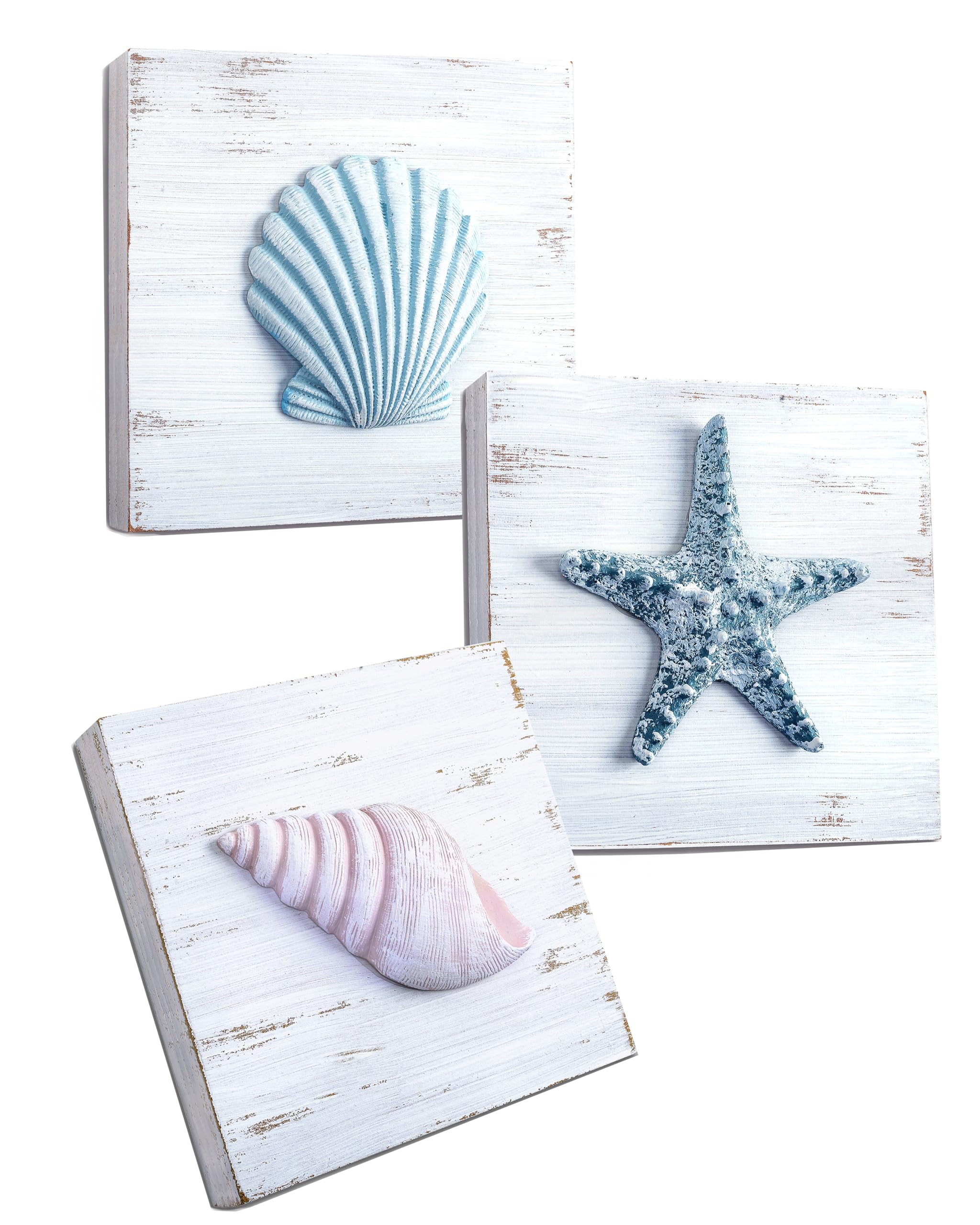 TideAndTales Beach Theme Seashell Wall Decor (Set of 3) | Shells and Starfish Wall Decor for Bathroom, Bedroom or Living Room | Rustic Coastal Decor | Ocean Inspired Beach Decorations
