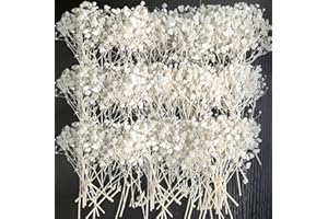 KOCEKO 50 PCS Ivory White Pressed Dried Baby's Breath Flowers Bulk - 100% Natural 5'' Flat Real Dry Mini Gypsophila Flower Branches for Wedding, Hair Accessory, DIY Floral Resin Art, Home Party Decor