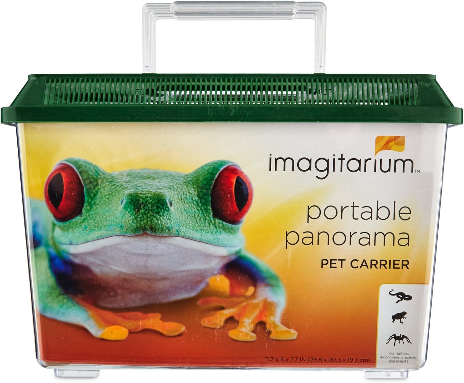 german pinscher breed