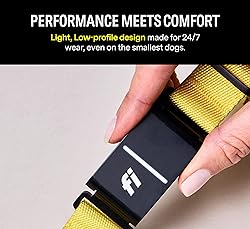 Fi Series 3 Smart Dog Collar - GPS Dog Tracker and