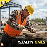 SOL Masonry Nails Assorted 60mm 40mm 30mm 25mm 20mm in Storage Box view 4