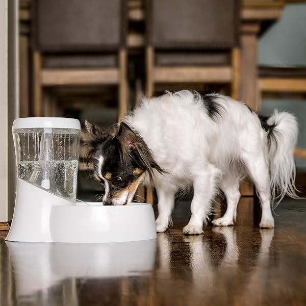 PETMATE FRESH FLOW RAIN BATTERY FOUNTAIN FOR CATS AND DOGS, 75 OZ