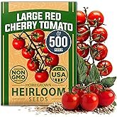 HOME GROWN Large Red Cherry Tomato Seeds, 500+ Seeds, Solanum lycopersicum | High Germination, Heirloom, Non-GMO | 500+ Seeds | Indeterminate | Sweet &amp; Juicy Salad Tomato | Prolific Garden Crop