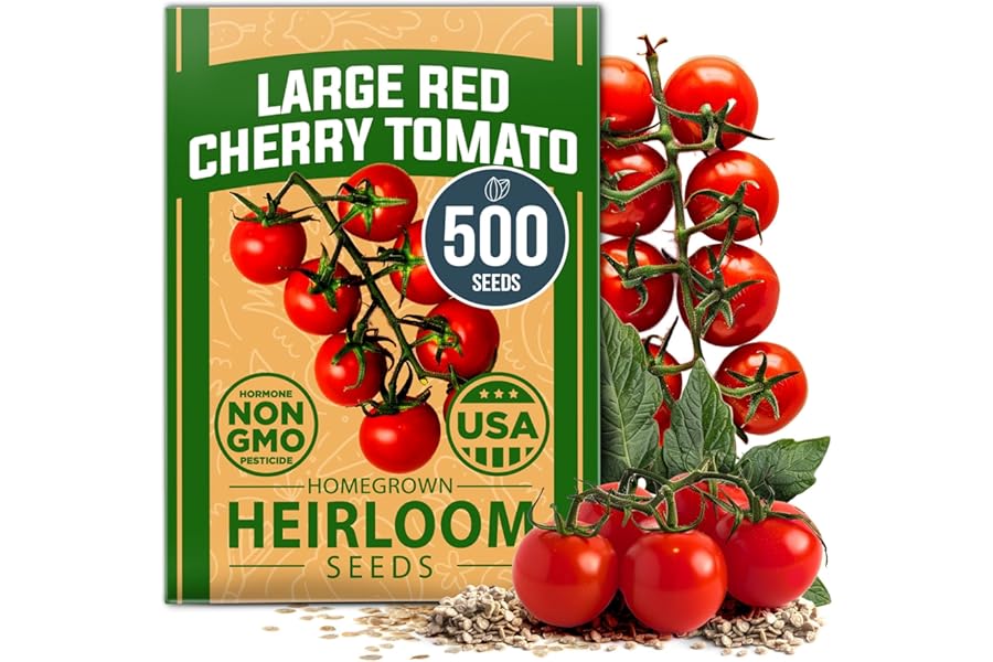 Best 500 Seed Heirloom Cherry Tomato Variety 2026