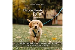 Introduction to Dog Training: Strengthening the Bond Between You and Your Dog