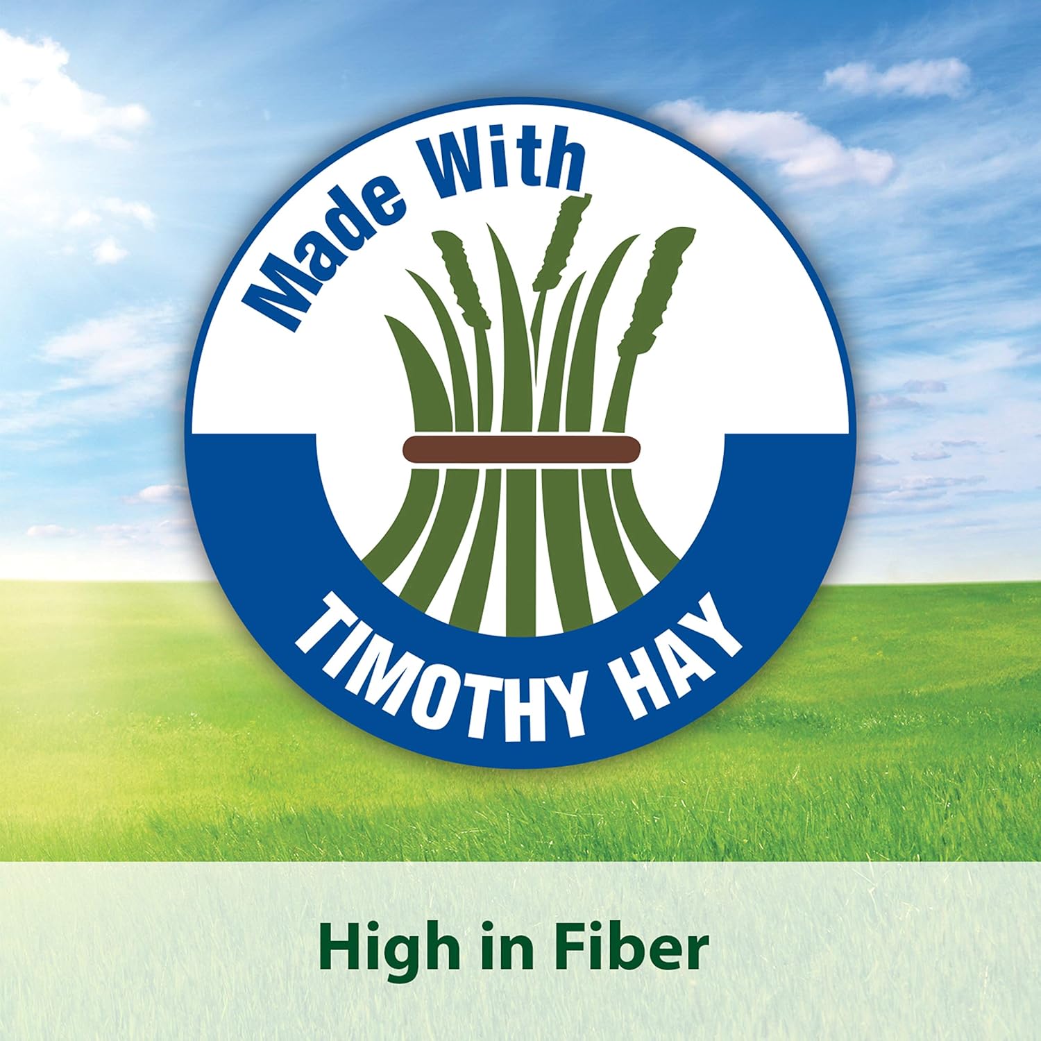 Kaytee Timothy Hay Complete Plus Flowers And Herbs Guinea Pig Food, 5Lb Bag : Pet Food : Pet Supplies