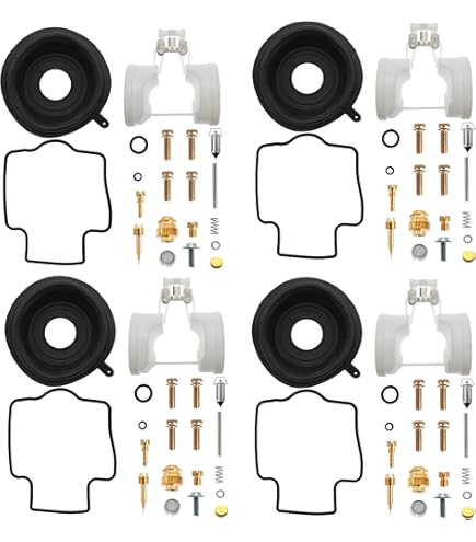 Amazon.com: 4-Pack Carburetor Carb Rebuild Repair Kits with