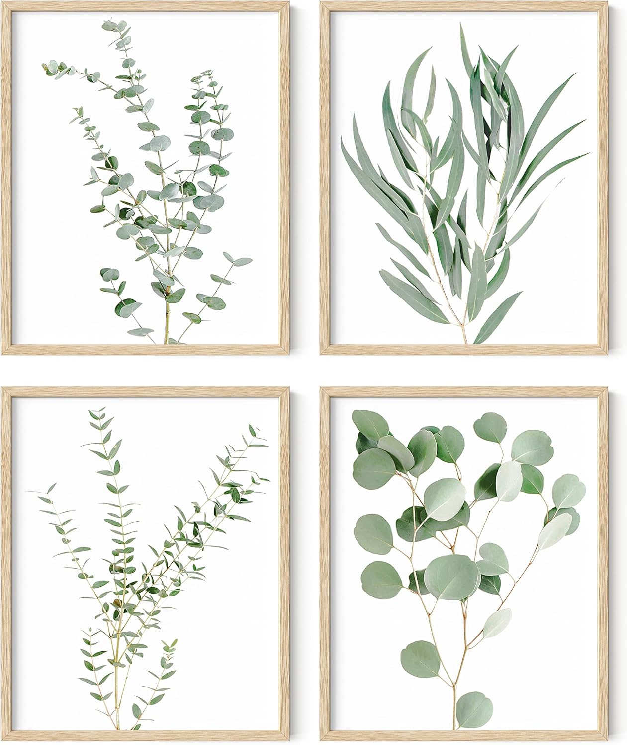 Wall Décor - Haus and Hues Botanical Plant Wall Art Prints - Set of 4 Plant Wall Decor Prints Floral Kitchen Flower Leaves Wall Art Boho Leaf Eucalyptus (BEIGE FRAMED) (8x10)