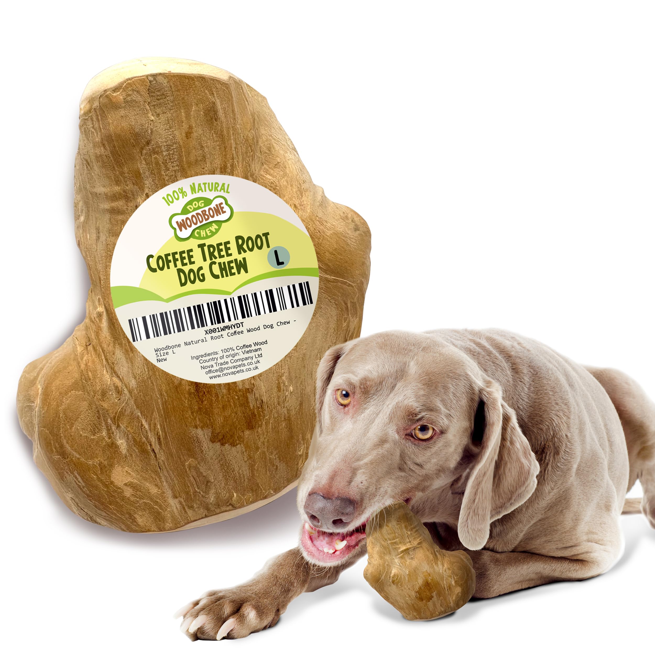 Woodbone Coffee Tree Root Dog Chew for Large Dogs - Natural Wood Dental Chewing Toy - Size L