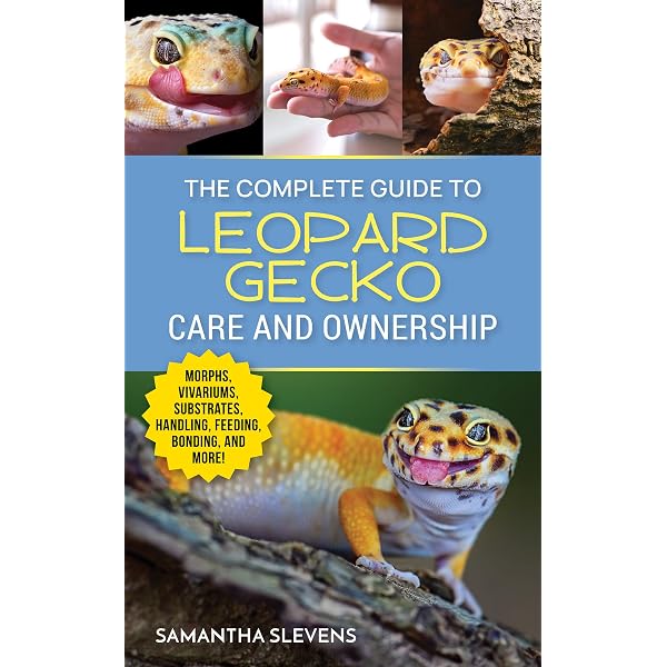 Leopard Gecko Facts for Kids: Explore the Fascinating World of an