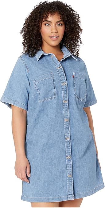 levi denim dress