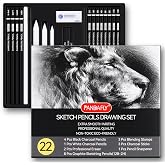 PANDAFLY Drawing Sketching Pencil Set, 22 Piece, Graphite Pencils (12B-2H) | Pro Art Pencil Kit with Black and White Charcoal Pencils, Charcoal Sticks, Stumps, Eraser, Sharpeners, Sketch Set for Artists