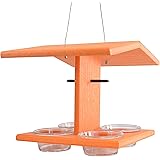 Amazon Com Backyard Boys Woodworking Gs70o Window Mount Oriole