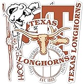 Desert Cactus University of Texas Sticker Longhorns UT Austin Vinyl Decals Laptop Water Bottle Car Type 2 (T2 Vintage 1)