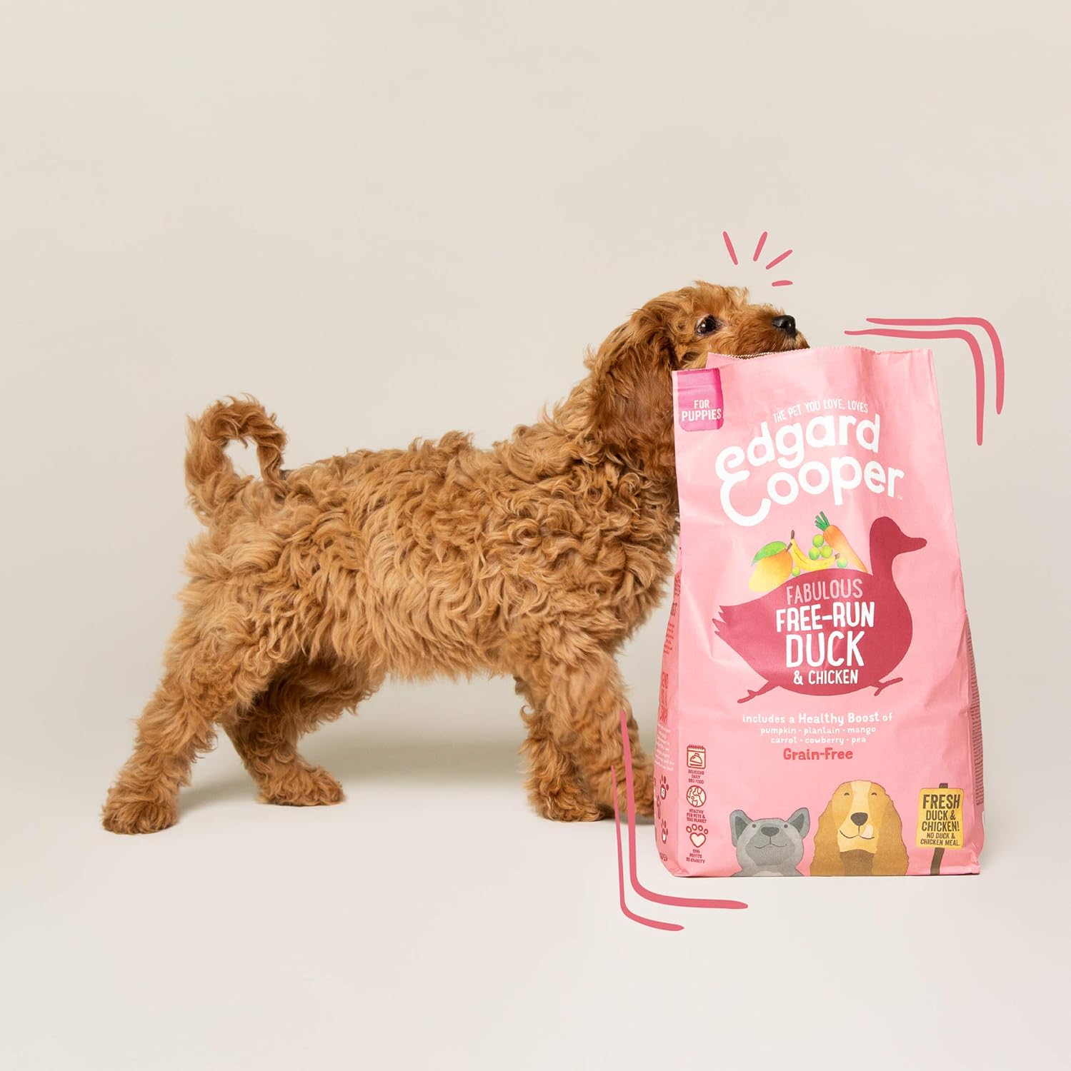 Edgard & Cooper Grain Free Dry Dog Food For Medium Breed Puppy Dogs (2.5kg), Fresh Duck & Chicken - Image 5