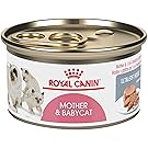 Royal Canin Feline Health Nutrition Mother and Babycat Canned Cat Food