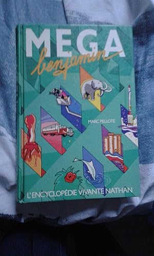 Download Méga benjamin PDF