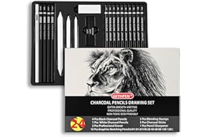 GETHPEN Drawing Sketching Pencil Set, 24 Piece Pro Artist Sketch Kit - Graphite Pencils (12B-4H),Charcoal Pencils for Drawing,Black and White Charcoal Pencils,Charcoal Sticks,Stumps,Eraser,Sharpeners