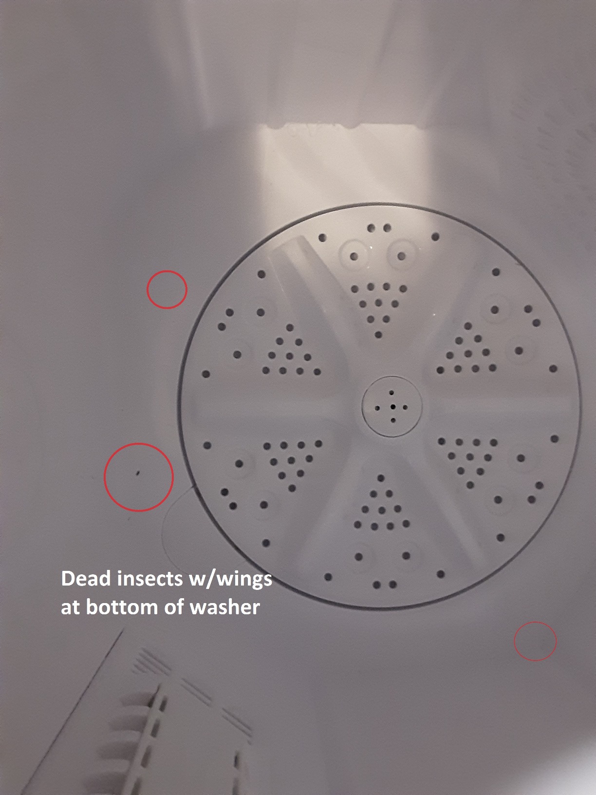 35/mo Finance BANGSON Portable Washing Machine, 17.6 lbs Washer