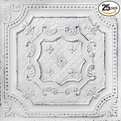 Amazon Com From Plain To Beautiful In Hours Dct04obw 24x24 25