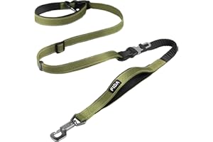 Fida 6-in-1 Hands Free Dog Leash Heavy Duty, Reflective Wasit Corssbody Dog Leash with Car Seat Clip | Adjustable for Running Hiking | Shock Absorbing Bungee, Dual Padded Detachable Handles (Green)