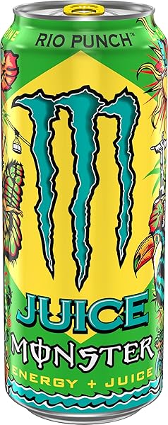 MONSTER ENERGY JUICE RIO PUNCH, ENERGY + JUICE, ENERGY DRINK, 16 OUNCE (PACK OF 15)