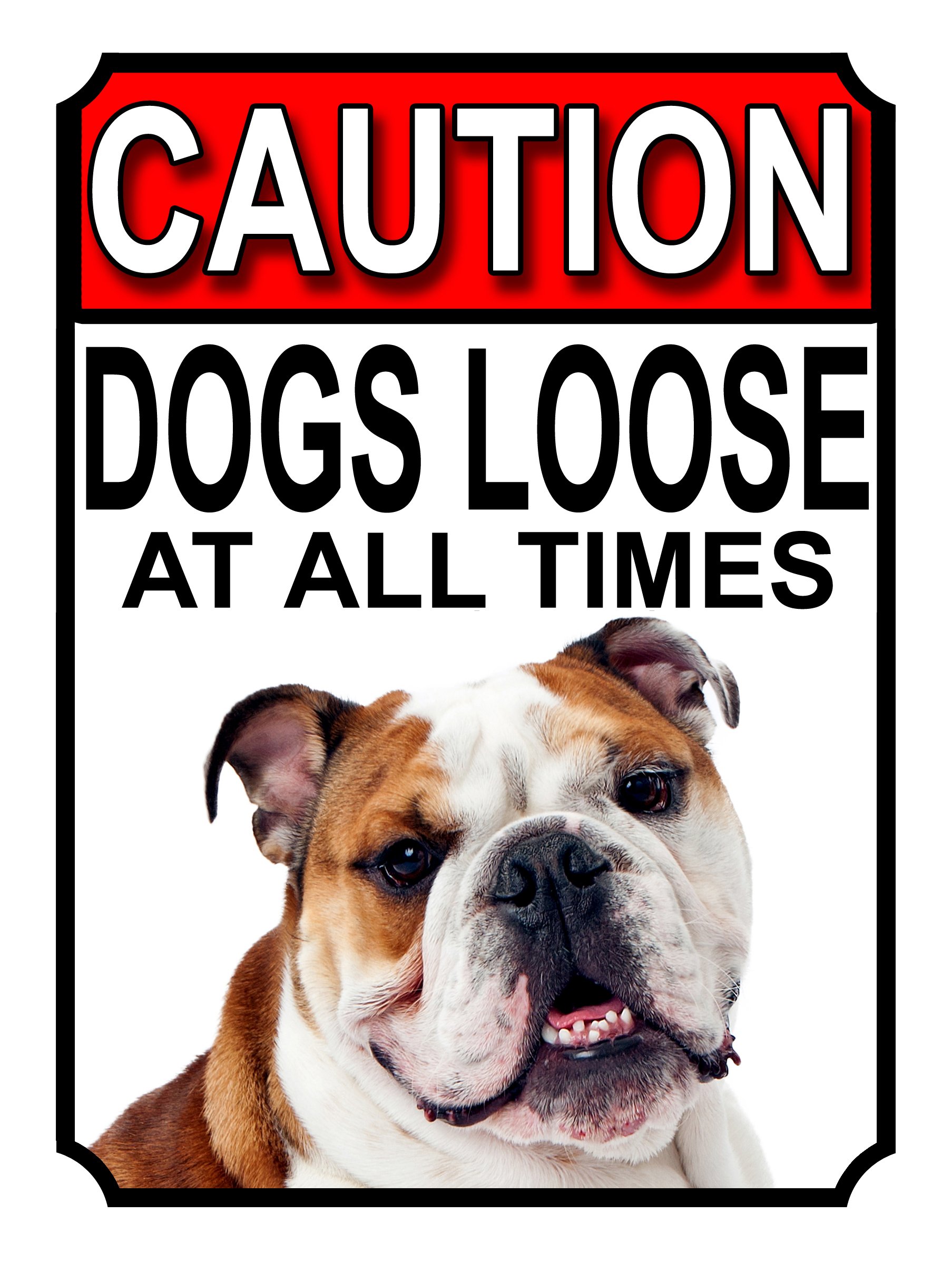 SHAWPRINT CAUTION DOGS LOOSE AT ALL TIMES METAL GATE SIGN BULLDOG 200MM X 150MM (1186H1) — image 1