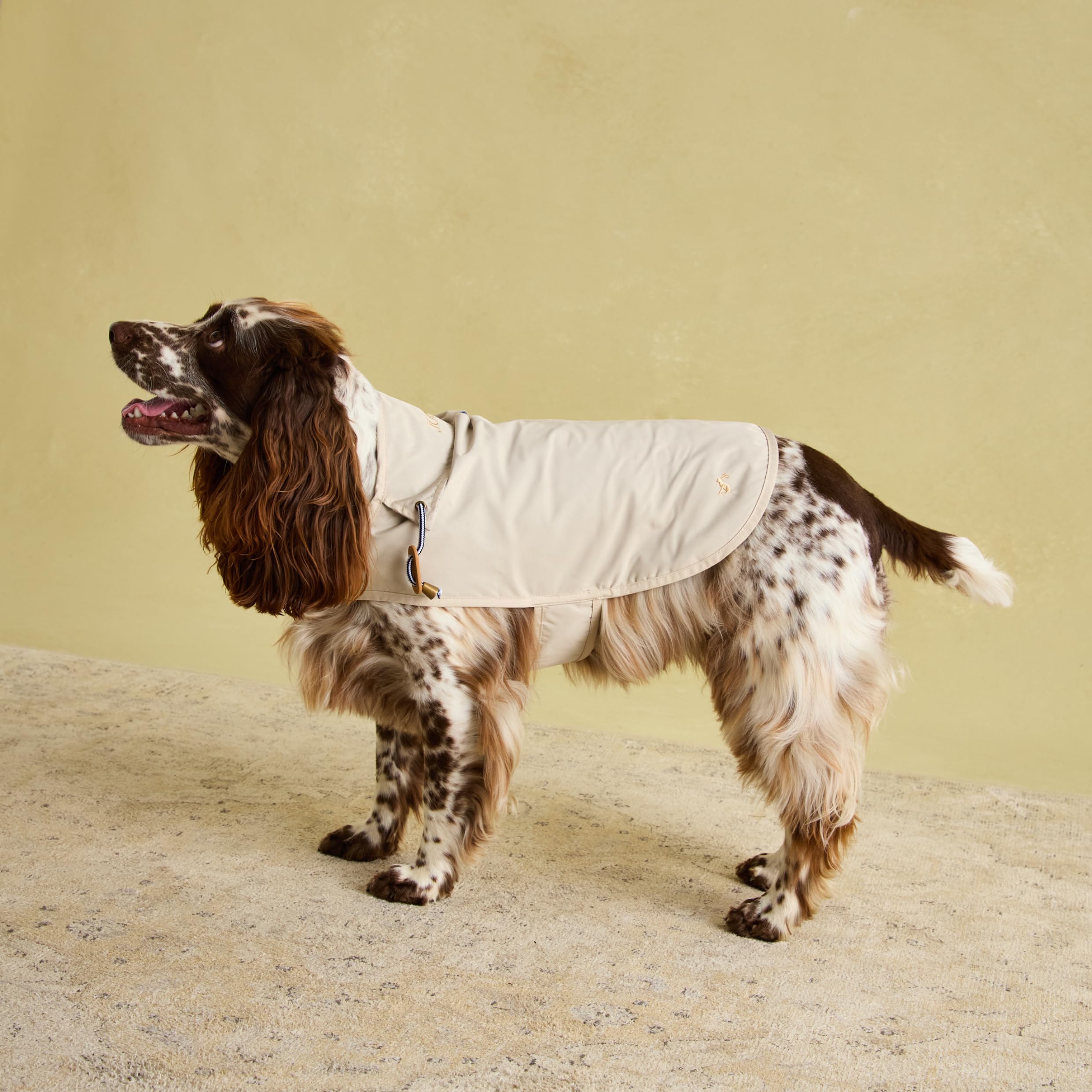 Rosewood x Joules Sandshell Raincoat for Dogs, Medium, Washable, Lightweight, Water-Resistant Dog Coat for Medium Dogs