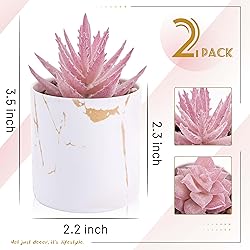 Der Rose Set of 2 Succulents Plants Artificial Mini
