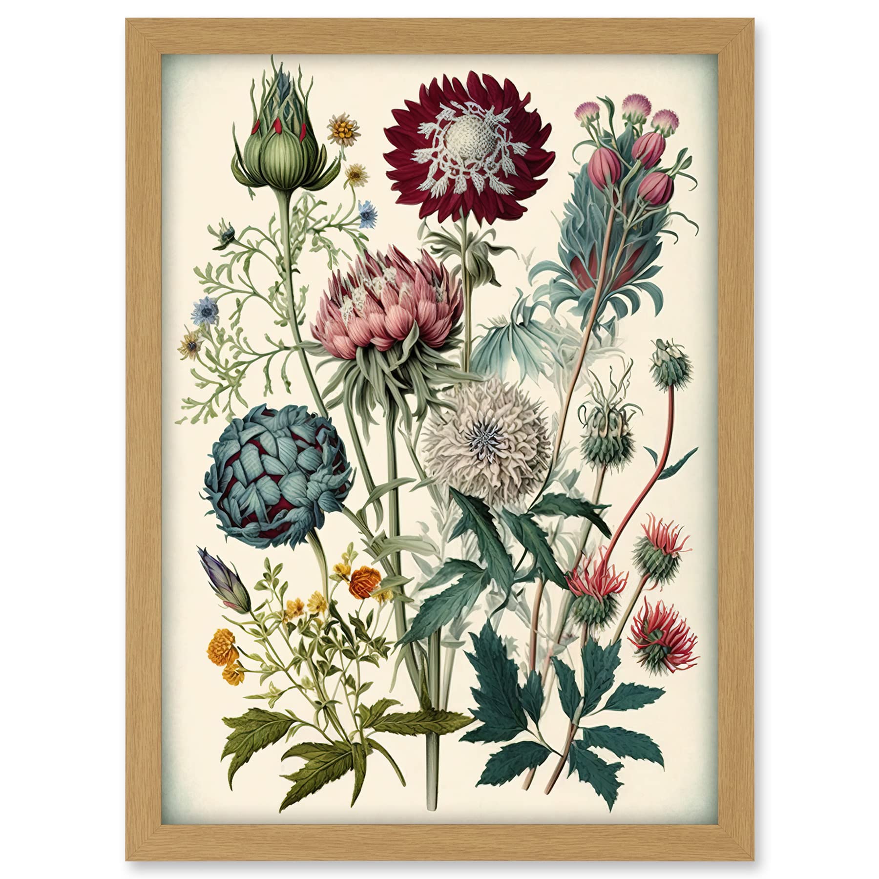 Artery8 Ernst Haeckel Style Vintage Botanical Plant Study Modern Watercolour Painting Illustration Artwork Framed A3 Wall Art Print