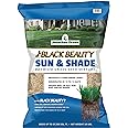 Jonathan Green (12007) Black Beauty Sun & Shade Grass Seed - Cool Season Lawn Seed, 50 lb