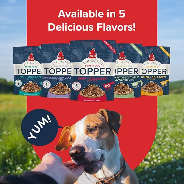 PLATO PET TREATS DOG FOOD TOPPERS – AIR-DRIED DOG FOOD TOPPERS FOR DRY FOOD – WITH COLLAGEN TO SUPPORT SKIN AND COAT HEALTH – BEEF AND COLLAGEN RECIPE 12OZ