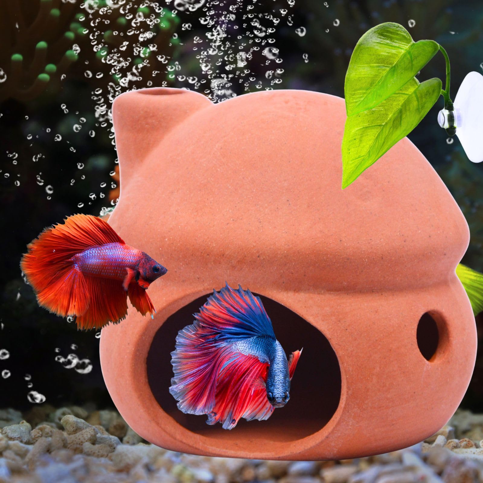 Photo 1 of Mushroom House Aquarium Decor, Betta Fish Tank Accessories, Goldfish Hideout Hideaway Spawning Cave Shrimp Toad House Betta Bed Fish Tank Decorations Pleco Cave (Mushroom&Betta Leaf Pad&Plug)
