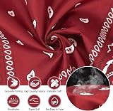 Vinuwu 12 Pack Bandana 22x22 Inch Vintage Paisley Head Scarf Nylon view 2