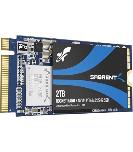 Amazon.com: S SHARKSPEED SSD 2TB M.2 2242 SATA III NGFF B+M Key