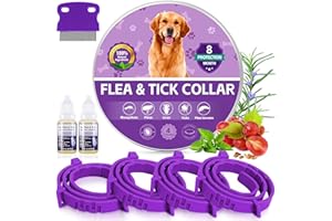 REGUOA 4 Pack Effective Flea Collar for Dogs, 25" Adjustable Natural Pet Flea and Tick Prevention Collars for Large Medium Small Dogs, Waterproof Fleas Ticks Collar for Puppies, 32 Months Protection, Purple