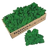 NAHUAA Preserved Moss Bulk 1.1lbs Reindeer