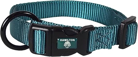 teal dog collar and leash