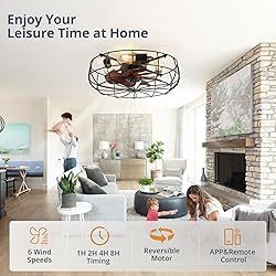 LEDIARY 20" Caged Ceiling Fans with Lights and