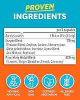 Zenwise Health No Bloat Probiotics Digestive Enzymes 100 Count view 5
