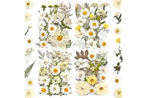 MIKIYA 90Pcs White Dried Pressed Flowers for Resin Molds, Real Natural Bulk Dry Floral Leaves for DIY Art Crafts, Epoxy Jewelry, Candle, Soap Making, Nails Decors Gifts