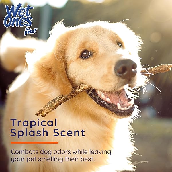 WET ONES FOR PETS ANTIBACTERIAL HEAVY DUTY PAW WIPES, TROPICAL SPLASH SCENT – THICK DOG CLEANING WIPES – SCENTED, DURABLE AND DISPOSABLE DOG WIPES FOR PAWS, 50 COUNT