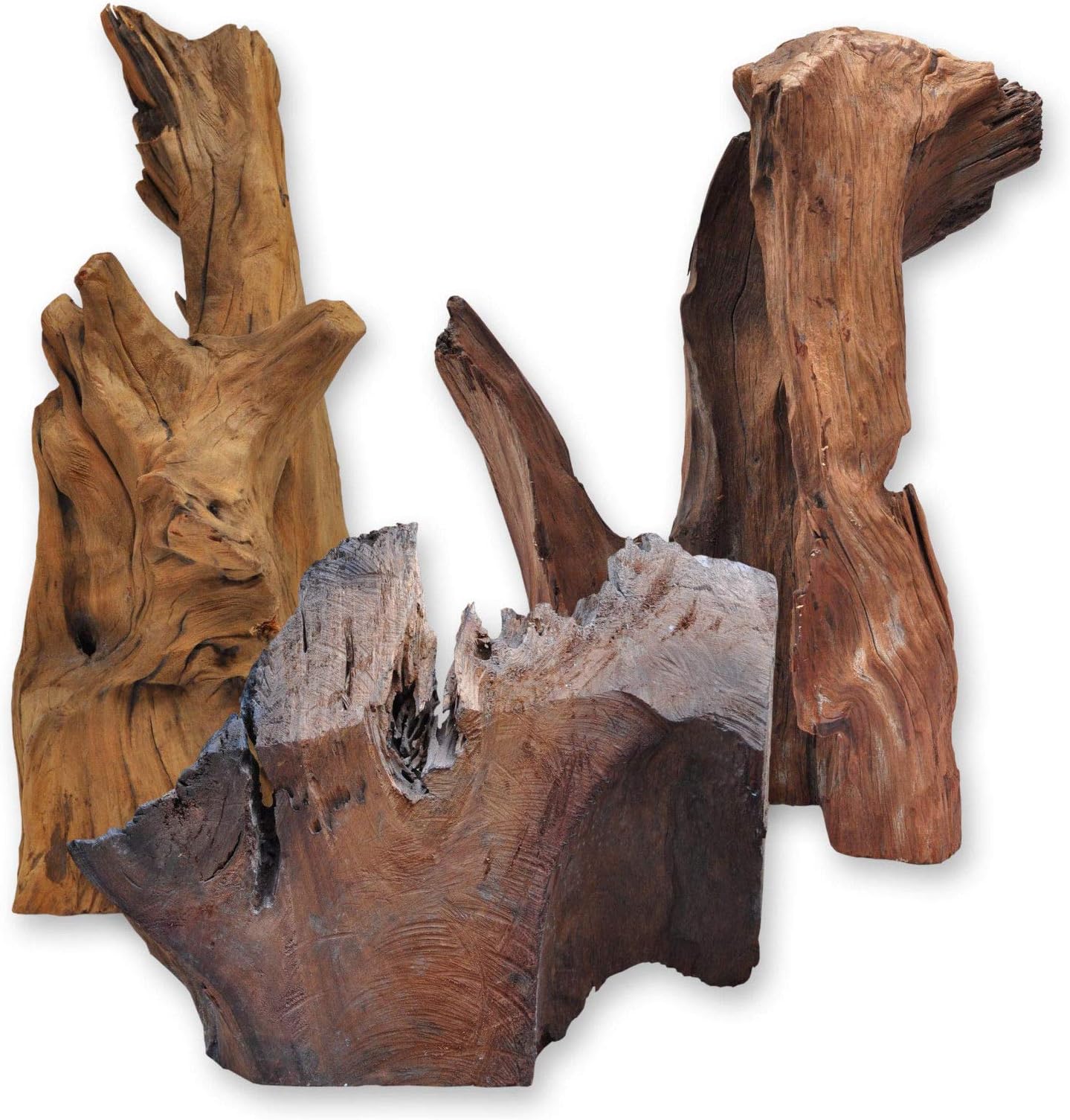 Root, Driftwood for Terrarium or Aquarium, Garden Decoration, 30-50 cm in Natural Wood 100% Natural