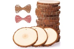 Fuyit Natural Wood Slices 20 Pcs 3.5-4 Inches Craft Wood Kit Unfinished Predrilled with Hole Wooden Circles Tree Slices for Arts and Crafts Christmas Ornaments DIY Crafts